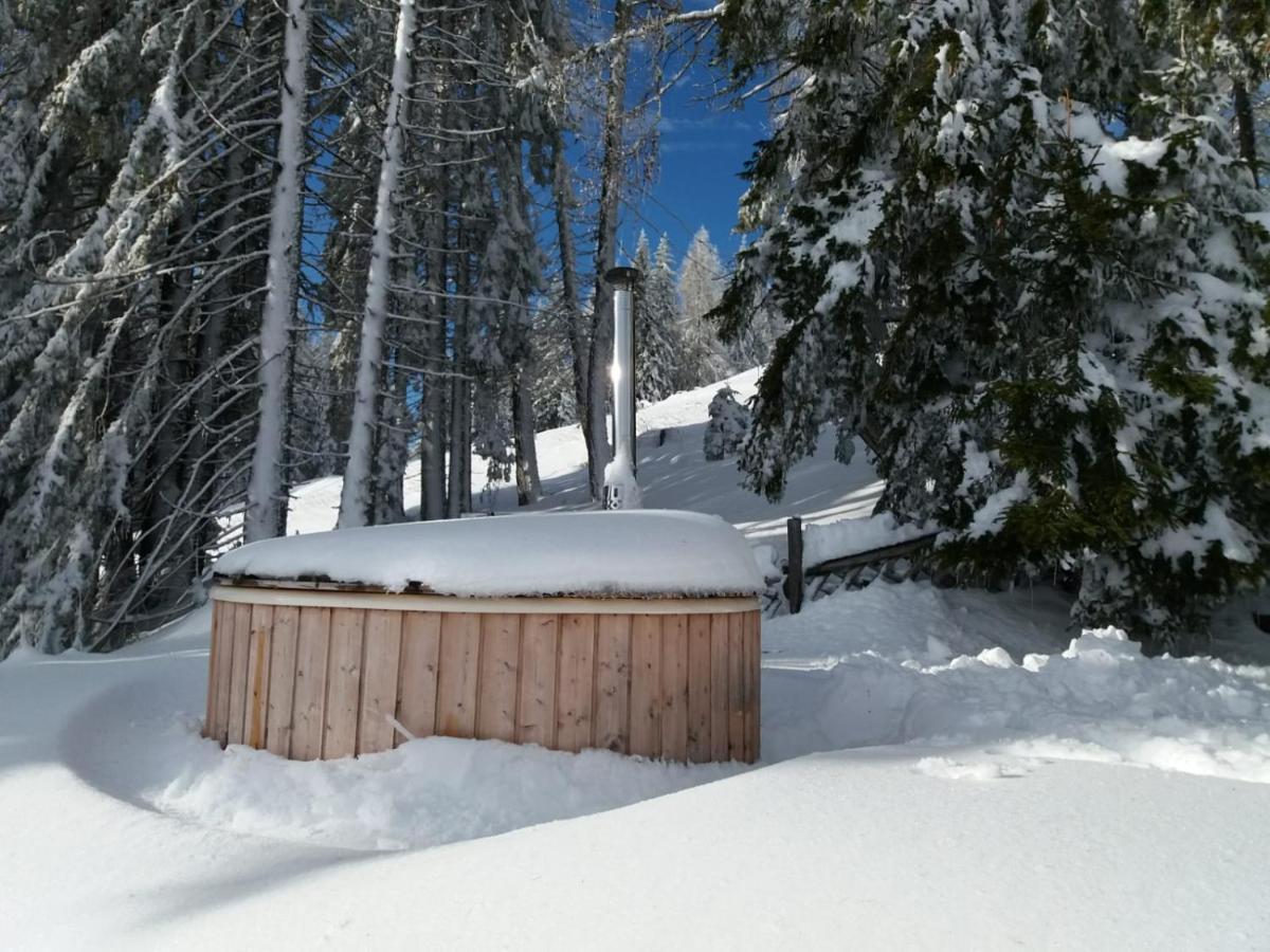 Chalet Petit Kanzelhohe المظهر الخارجي الصورة